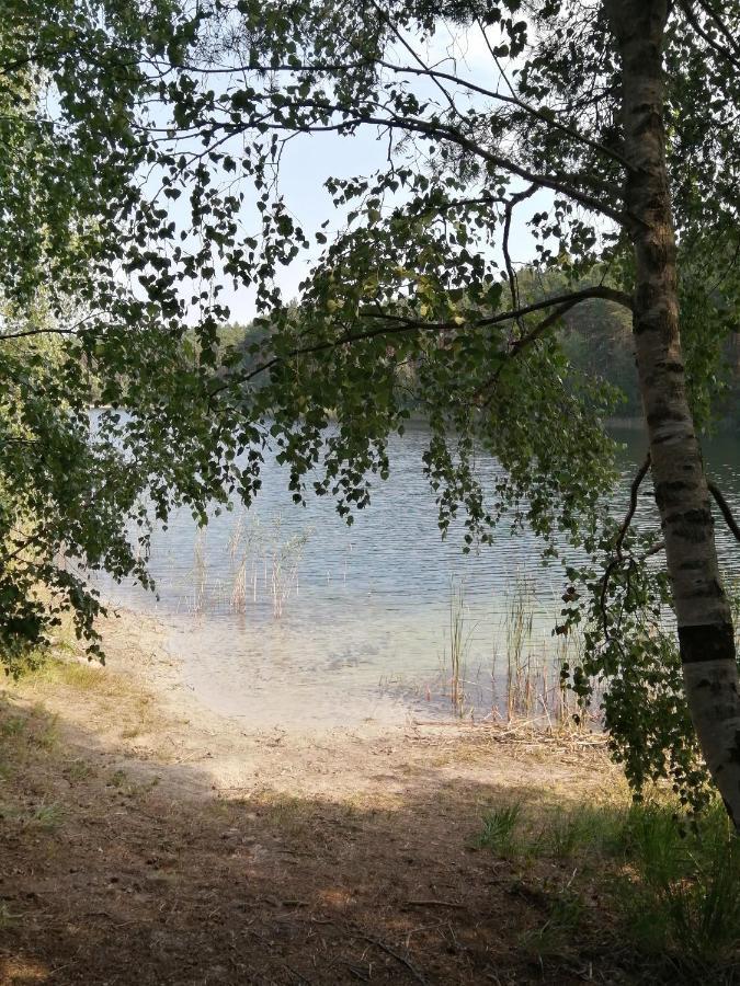 Spreewaldhaeuser Golinski Mit Kamin Am Neuendorfer See Alt Schadow Экстерьер фото