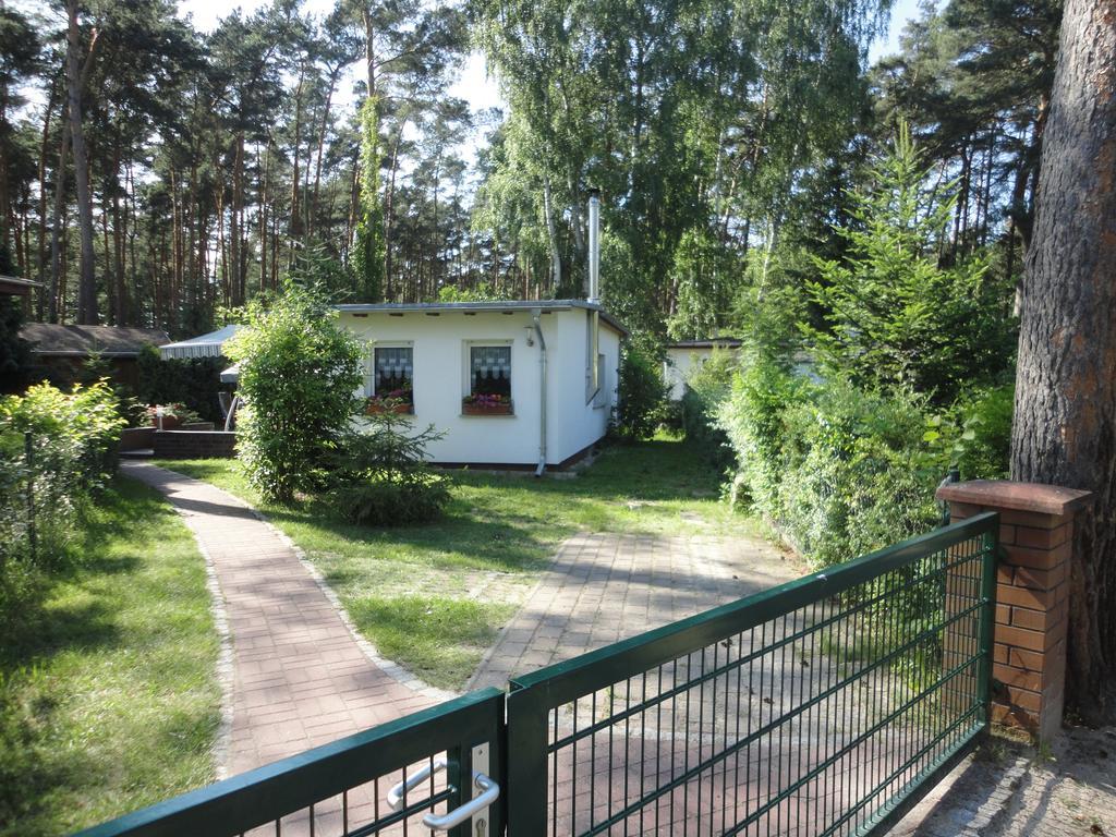 Spreewaldhaeuser Golinski Mit Kamin Am Neuendorfer See Alt Schadow Экстерьер фото